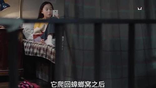 石油小姐姐最新爆料视频,最新爆料视频深度解析